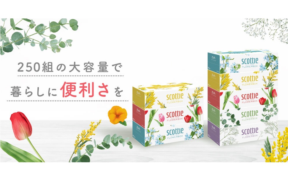 ティッシュペーパー おすすめ スコッティ フラワーボックス 250組